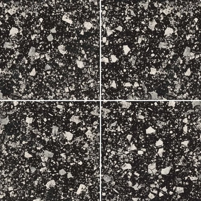 Terrazzo 60x60 - FMG Venice Villa Graphite Zwart Variatie